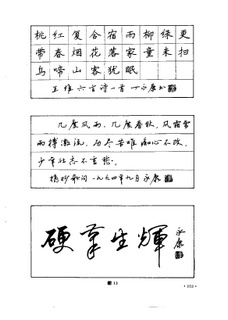 丁永康《钢笔字书写新技法》书法绘画作品字帖欣赏|三