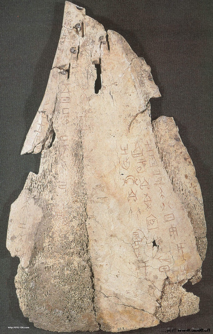 ͿţǱƷ