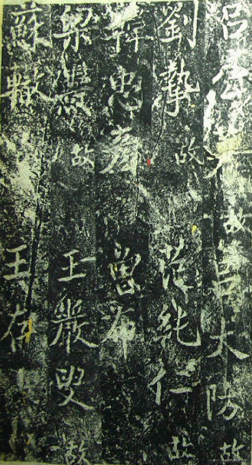 ���β̾���Ԫ�v��������0010��Ʒ����