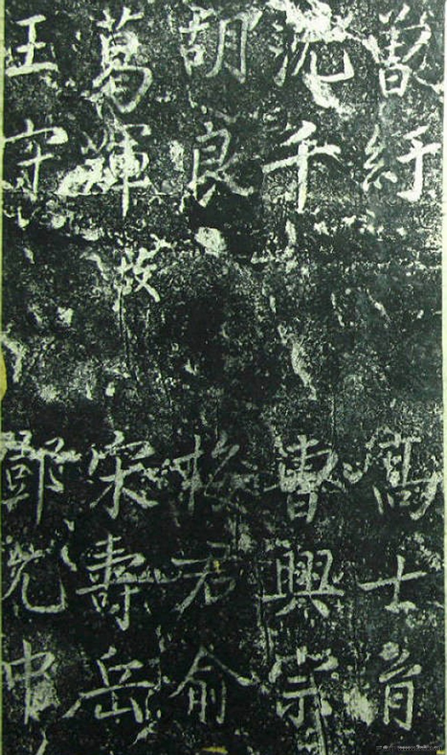 ���β̾���Ԫ�v��������0020��Ʒ����