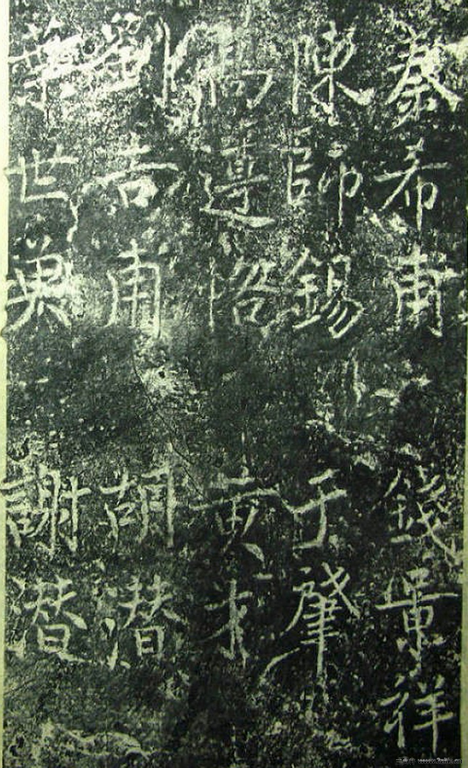 ���β̾���Ԫ�v��������0029��Ʒ����