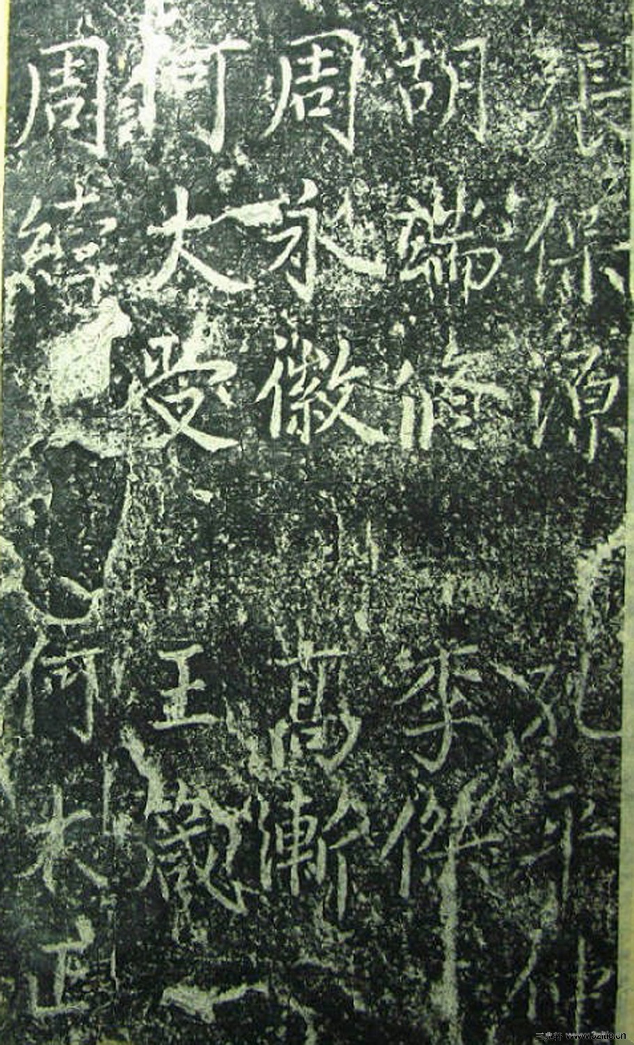 ���β̾���Ԫ�v��������0031��Ʒ����