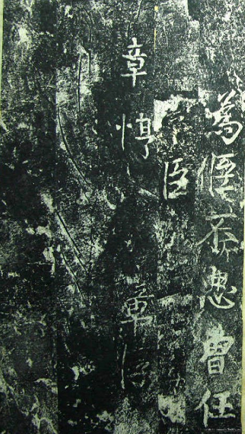 ���β̾���Ԫ�v��������0040��Ʒ����