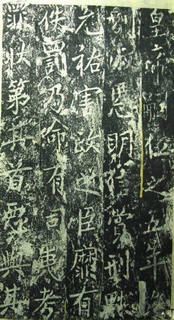 ���β̾���Ԫ�v��������0005��Ʒ����