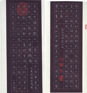 周培纳钢笔硬笔书法作品欣赏
