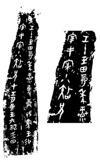 ܽļ׹Ƭѡϼ0010Ʒ