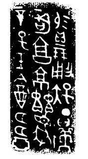 ܽļ׹Ƭѡϼ0027Ʒ