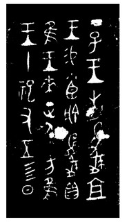 ܽļ׹Ƭѡϼ0028Ʒ