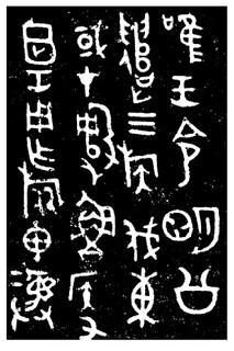 ܽļ׹Ƭѡϼ0031Ʒ