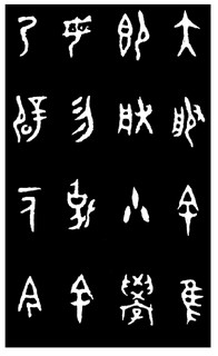 ܽļ׹Ƭѡϼ0041Ʒ