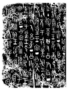 ܽļ׹Ƭѡϼ0059Ʒ