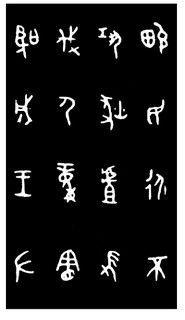 ܽļ׹Ƭѡϼ0079Ʒ