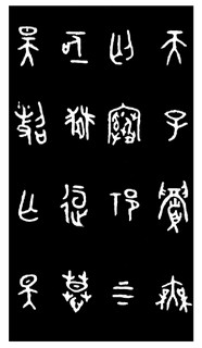ܽļ׹Ƭѡϼ0083Ʒ