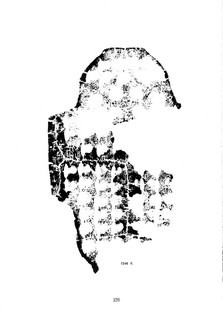 ׹ĺϼġ ڶ0013Ʒ
