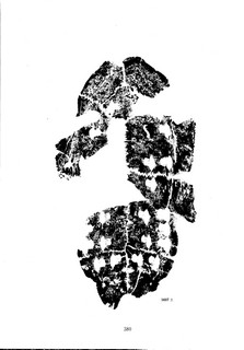 ׹ĺϼġ ڶ0067Ʒ