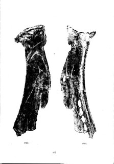 ׹ĺϼġ ڶ0091Ʒ