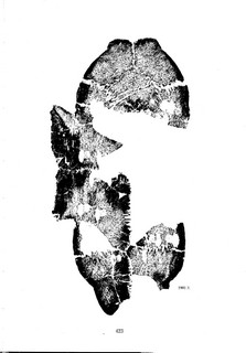 ׹ĺϼġ ڶ0110Ʒ