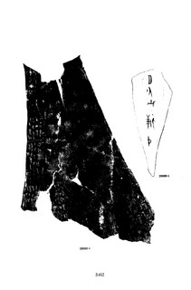 ׹ĺϼġ ھż0146Ʒ
