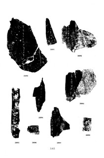 ׹ĺϼġ ھż0147Ʒ