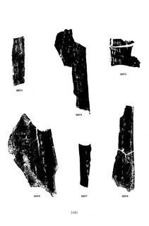 ׹ĺϼġ ھż0167Ʒ