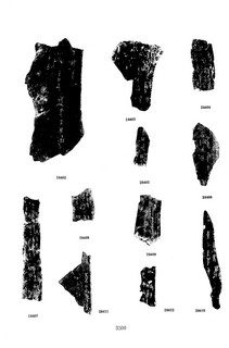׹ĺϼġ ھż0181Ʒ
