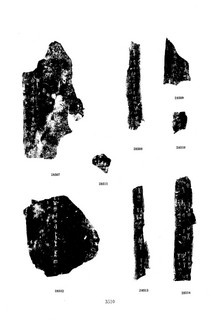 ׹ĺϼġ ھż0191Ʒ