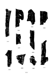 ׹ĺϼġ ھż0195Ʒ