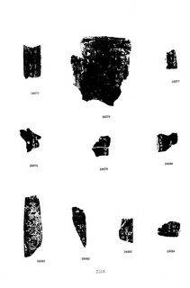 ׹ĺϼġ ھż0199Ʒ