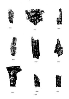 甲骨文合集（摹本） 第十一辑0325作品欣赏